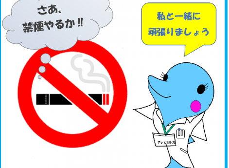 松戸市薬剤師会認定禁煙支援薬局ステッカー